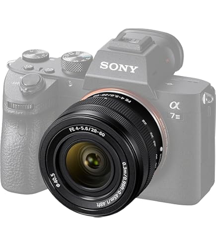 Amazon.com : Sony FE 50mm F2.5 G Full-frame G Lens